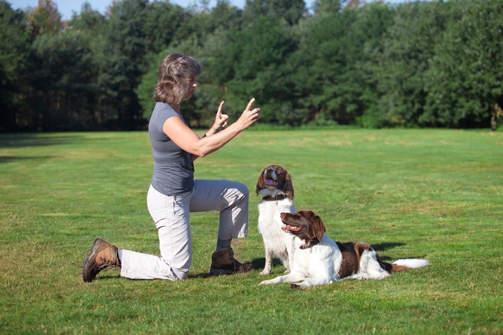Top 6 Dog Training Methods